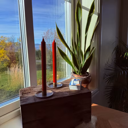 Kronljus - Mörkröd - 28 cm - 10h