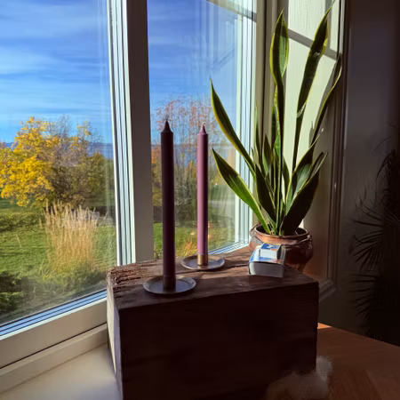 Kronljus - Blåbär - 28 cm - 10h