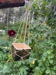 Handgjord grön kvadratisk ampelytterkruka