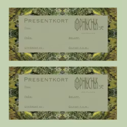 Presentkort