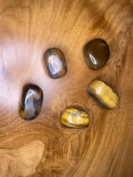 Tigeröga