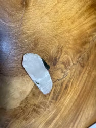 Bergkristall naturlig spets med en grön Turmalin