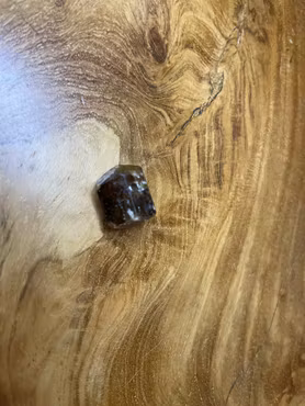 Dravit dubbel naturlig spets