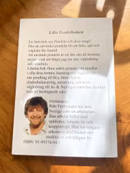 Boken "Lilla pendelboken"