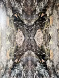 Agartha no. 1
