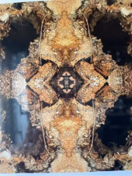Manifestation no. 3