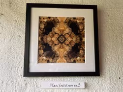 Manifestation no. 3