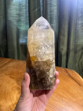 Golden Healer torn 858gram 16cm