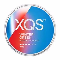 XQS Wintergreen Strong 8 mg | Nikotinpåse med smak av Wintergreen & Mint