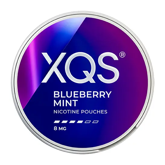 XQS Blueberry Mint Strong 8 mg | Nikotinpåse med smak av Blåbär & Mint