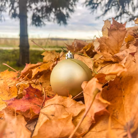 Julgranskula med namn – Ljusguld