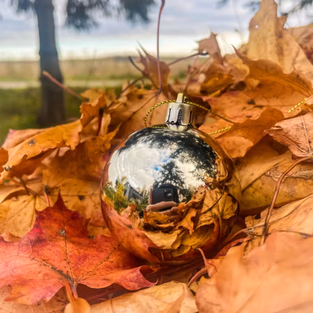 Julgranskula med namn – Ljusguld
