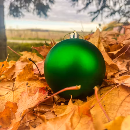 Julgranskula med namn – Grön