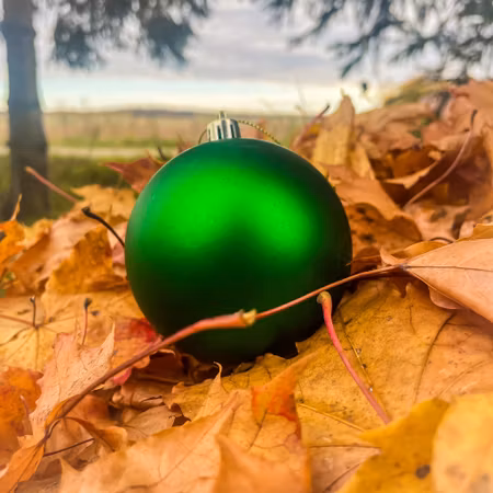 Julgranskula med namn – Grön