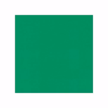 Linnen Cardstock - 30.5 x 30.5 - Green