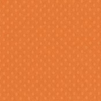 Bazzill Dotted Swiss - Festive