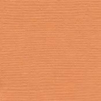 Bazzill Mono Canvas - Apricot