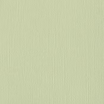 Bazzill Mono Canvas - Aloe Vera