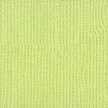 Bazzill Mono Canvas - Limeade