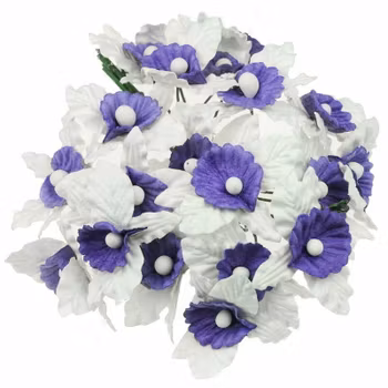 Orchids - white & lilac mulberry