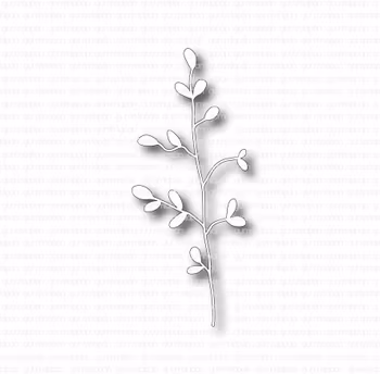 Gummiapan Dies - Gracilis