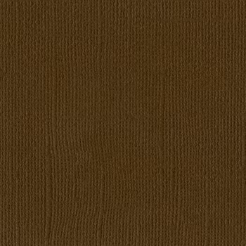 Bazzill Mono Canvas - Pinecone