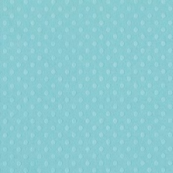 Bazzill Dotted Swiss - Julep