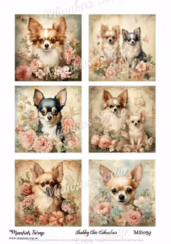 Miankas Scrap klippark - Shabby Chic Chihuahua