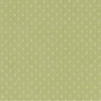 Bazzill Dotted Swiss - Celtic Green
