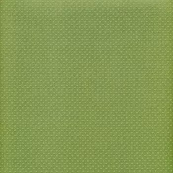 Bazzill Dotted Swiss - Irish Eyes