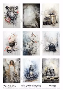Miankas Scrap klippark - Black & White Shabby Chic 9
