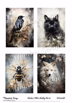Miankas Scrap klippark - Black & White Shabby Chic 12