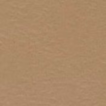 Bazzill Prismatic Tawny Medium