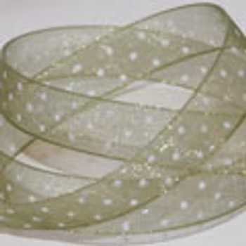 Prickigt Organzaband Mossgrön