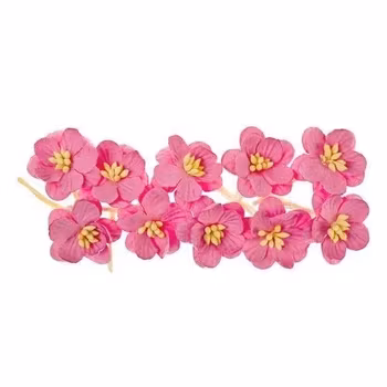 ScrapBerrys Cherry Blossom - Bright Pink