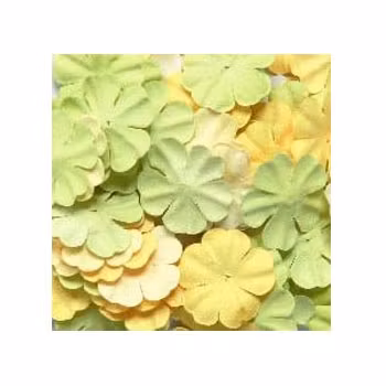 Reprint Pappersblommor Yellow/Lime