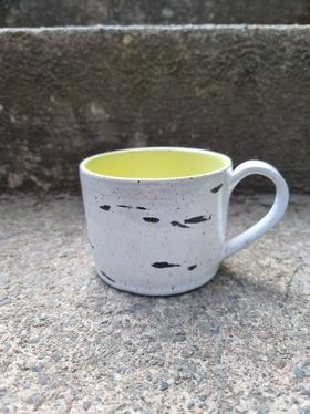Vårbjörk, kopp