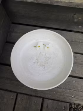 Skål med tryck, vit. SLUTSÅLD