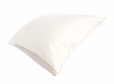 Fjäderkudde 50x60cm Queen Anne