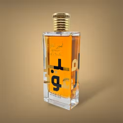 Lattafa Ameer Al Oudh Intense Oud 100 ml (By The Fireplace​​)