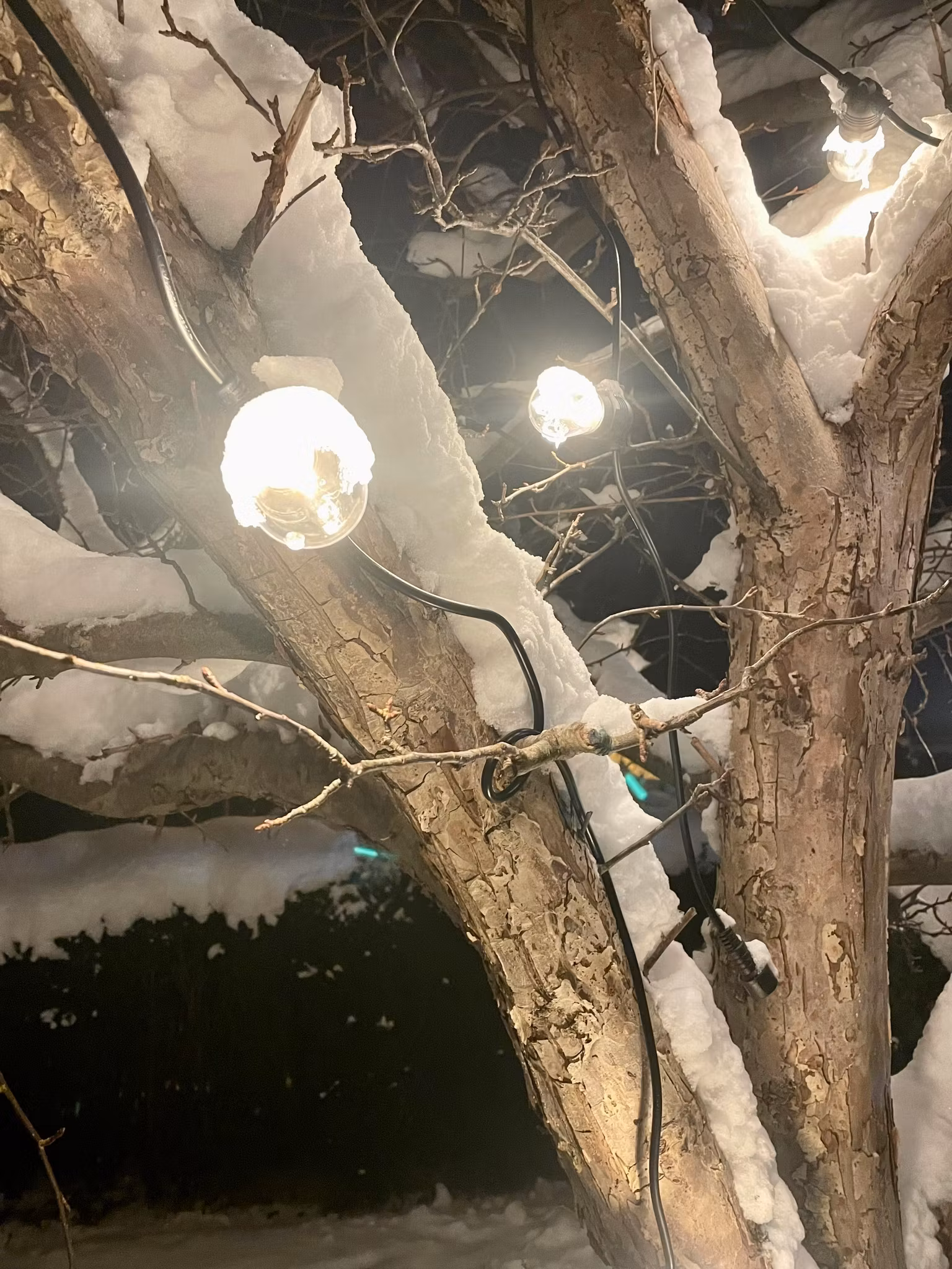 LY Sweden Premium outdoor string lights - outdoor lighting 15-100 meter with replaceable E27 LED bulbs