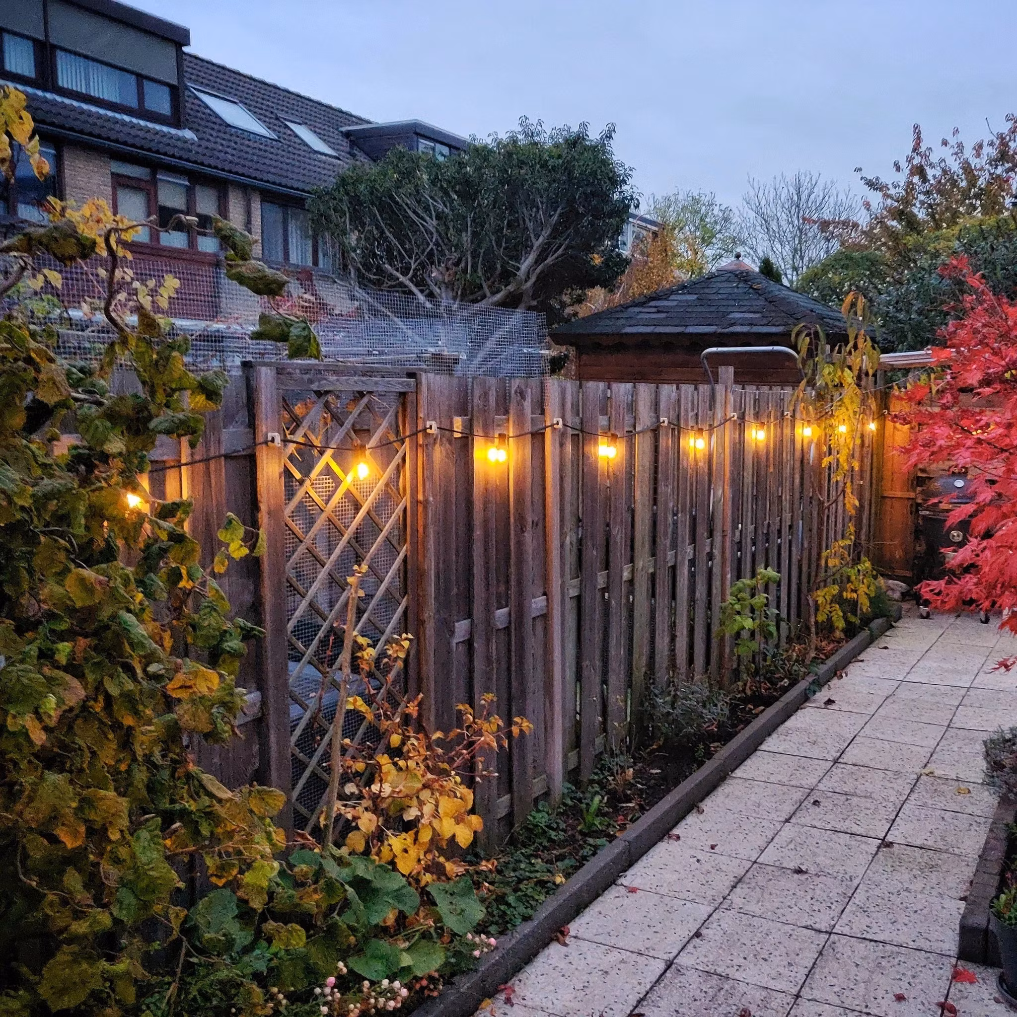 LY Sweden Premium Outdoor String Lights with Flat Cable - 10m to 100m with Replaceable E27 Bulbs