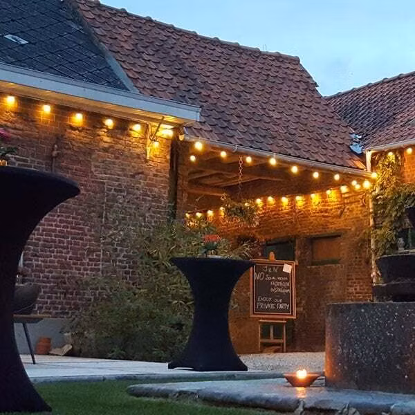 LY Sweden Premium Outdoor String Lights with Flat Cable - 10m to 100m with Replaceable E27 Bulbs