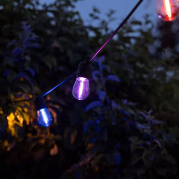 Party String Lights for Outdoor Use, Round Cable 5 - 100m with Replaceable LED Bulbs in 5 Different Colors