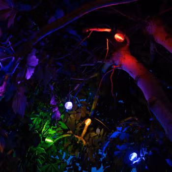 Party flat string lights outdoor 5 - 100m with replaceable LED bulbs in 5 different colors