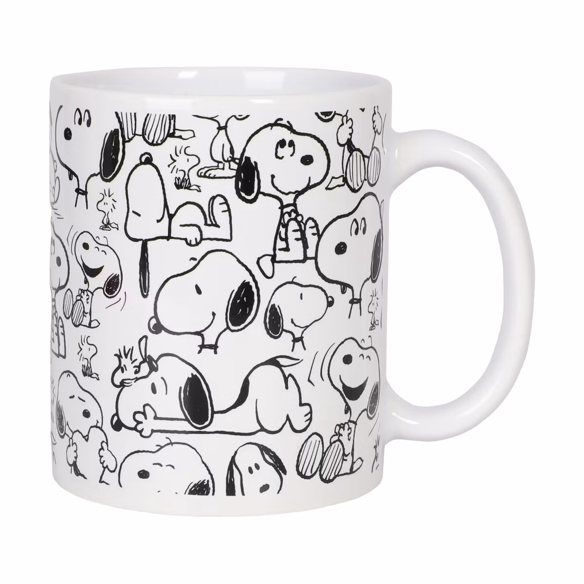 Snoopy Kopp