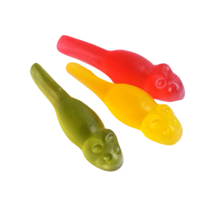 Geleråttor (Gelé rats)