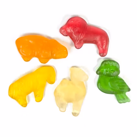 Jellioo Fruit Animals 1kg