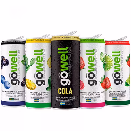 Gowell Mixat flak 24st x 33cl