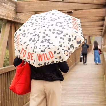 Paraply – Born to be wild